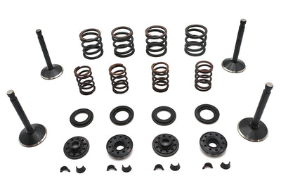 Kibblewhite Valve and Spring Kit
