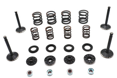 Kibblewhite Valve and Spring Kit