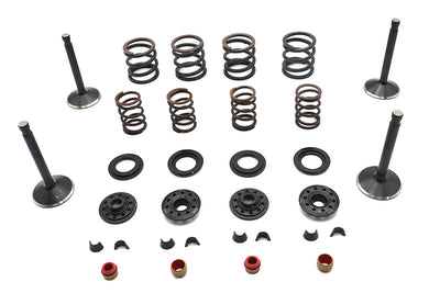 Kibblewhite Valve and Spring Kit