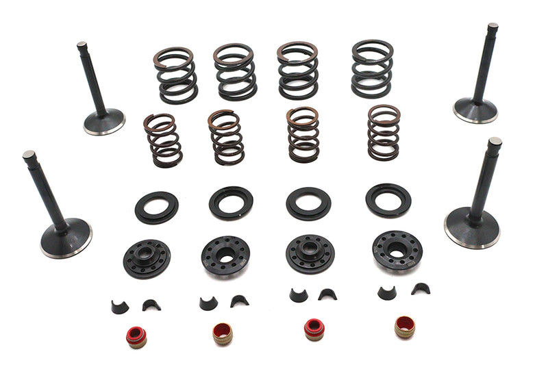 Kibblewhite Valve and Spring Kit