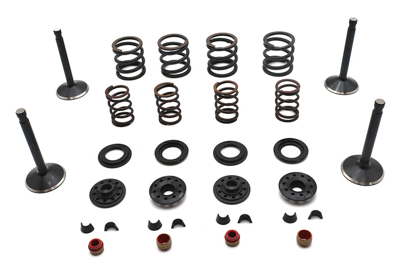Kibblewhite Valve and Spring Kit