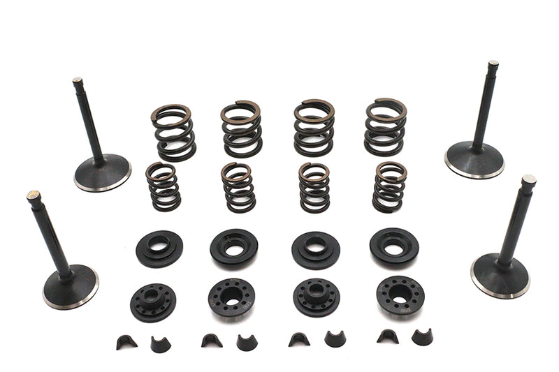 Kibblewhite Valve and Spring Kit