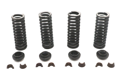 Valve Spring Kit