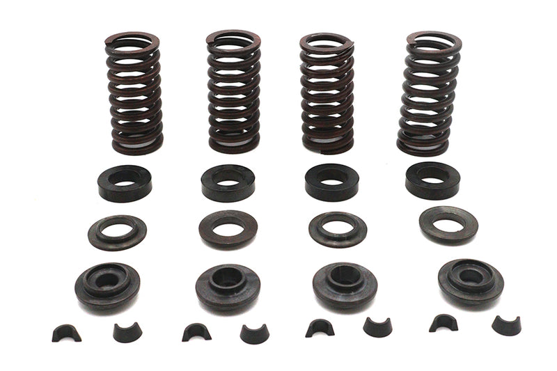 Valve Spring Kit