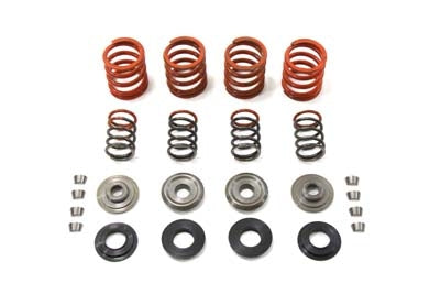 Valve Spring Kit - 150036