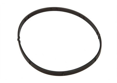 M8 Primary Derby O-Rings