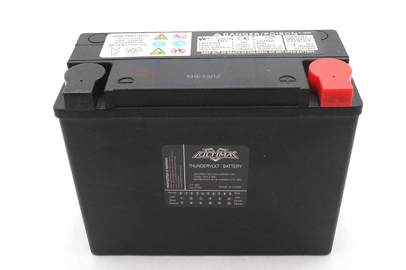 Ultima 12 Volt AGM Thundervolt Battery