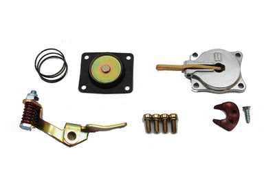 30cc Accelerator Pump Kit - 5570