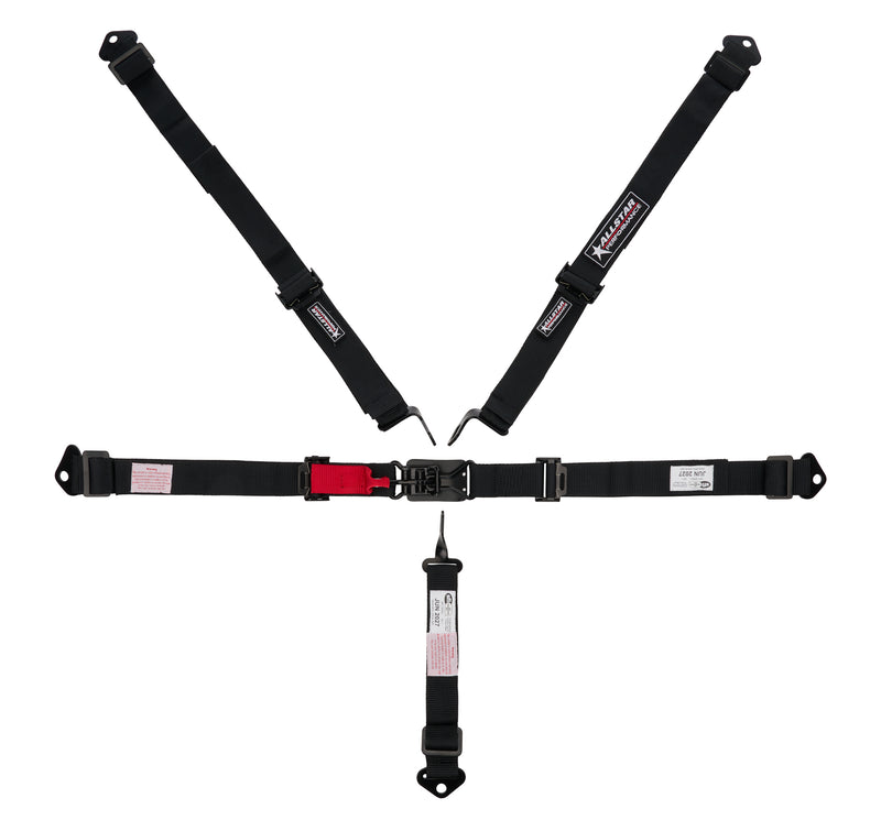 HARNESS 5PT L&L 2 IN BELTS