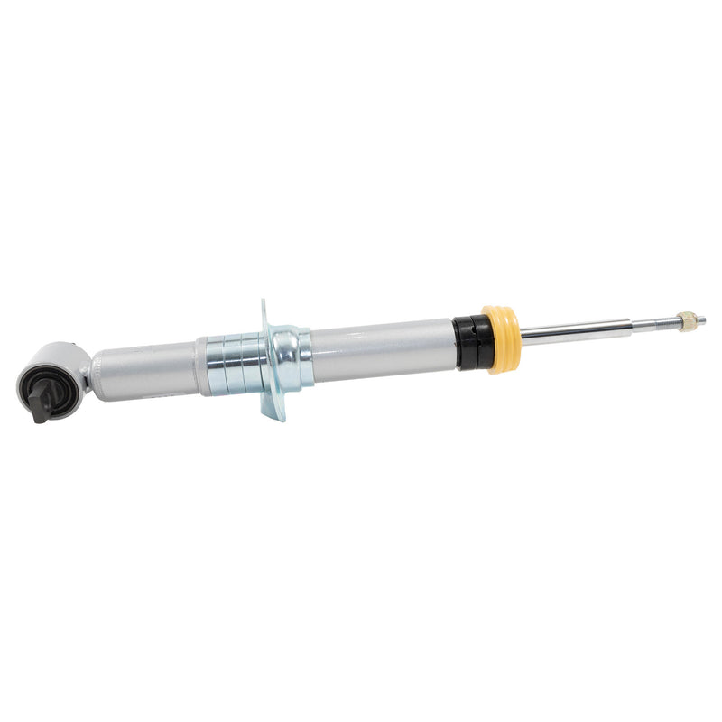 21- Ford F150 SP Strut