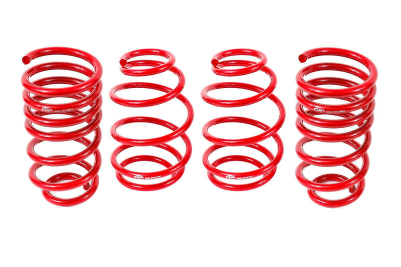 LOWERING SPRING KIT
