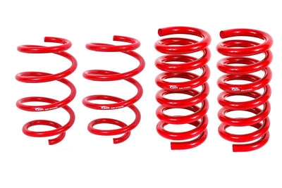 LOWERING SPRINGS SET 4 HANDLG
