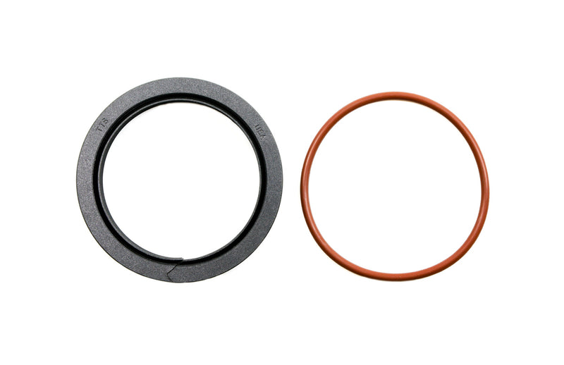 GM BB REAR SPLIT SEAL (SINGLE)