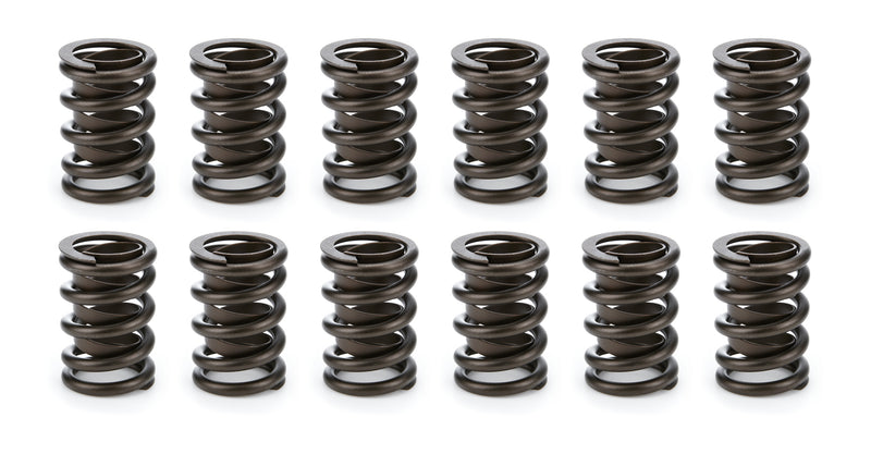 SPRING SET W/DAMPER .650
