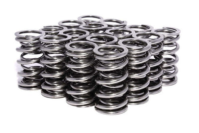 VALVE SPRINGS