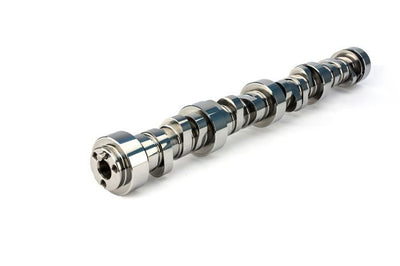CAMSHAFT LS