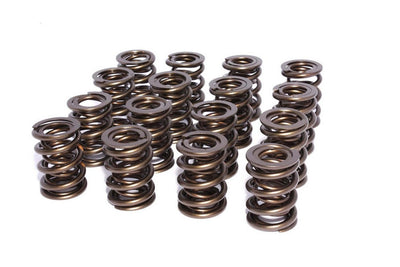 VALVE SPRINGS