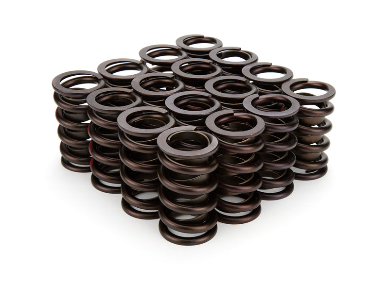 VALVE SPRINGS 1.269