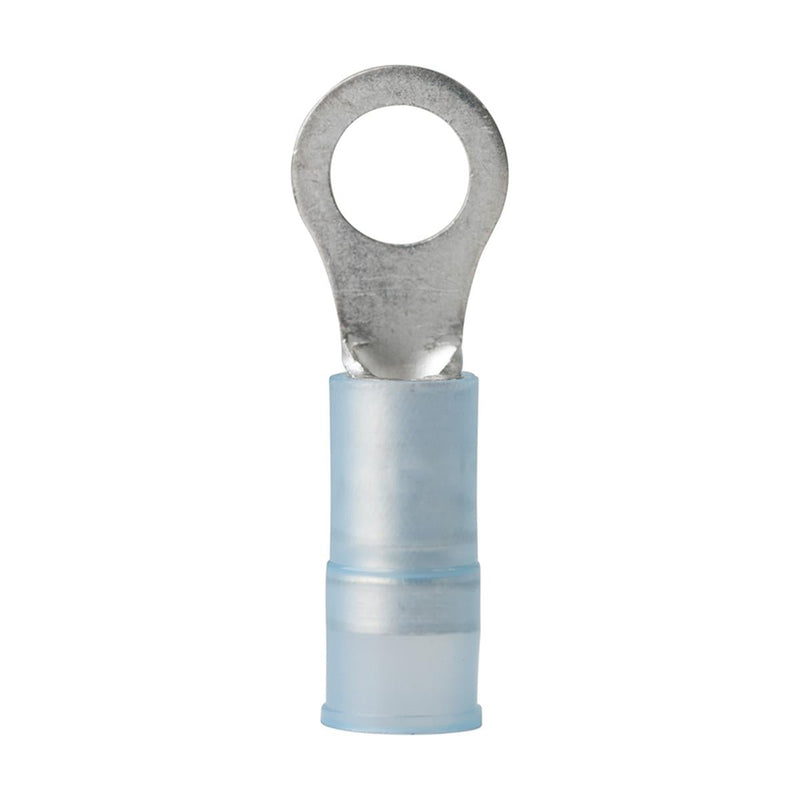 Nylon Ring Terminal 16-14 #10 25P - 210213