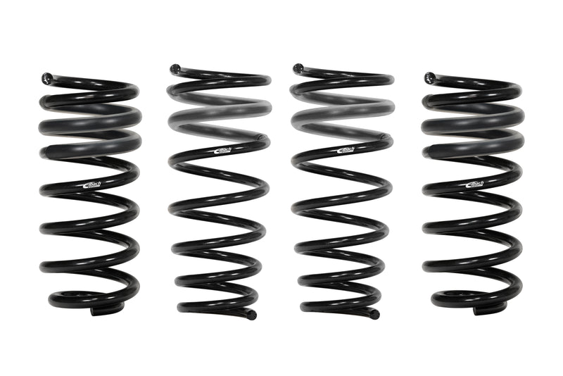 Pro-kit Lowering Springs - E10200450222