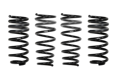 Pro-kit Lowering Springs - E10200450222