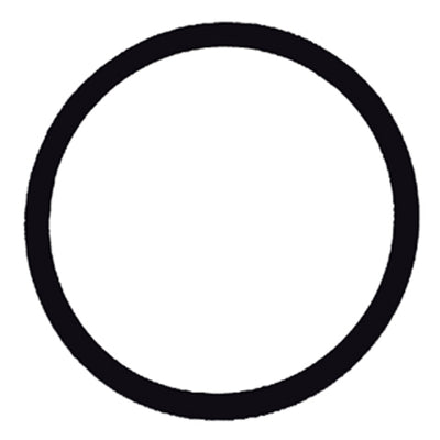 Compact Fuel Filter Replacement Viton O-Ring - PHF79001