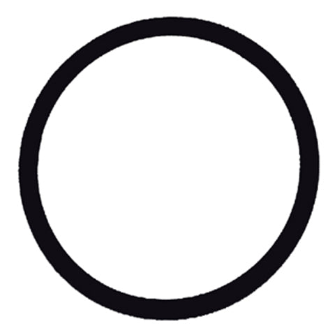 Compact Fuel Filter Replacement Viton O-Ring - PHF79001