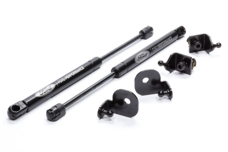 HOOD STRUT KIT