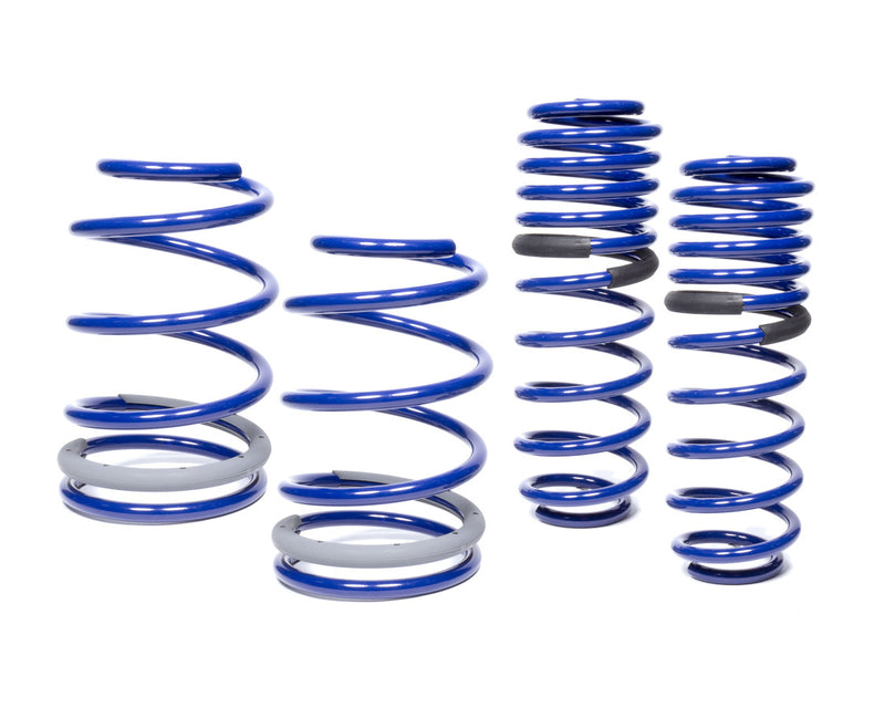 LOWERING SPRING KIT