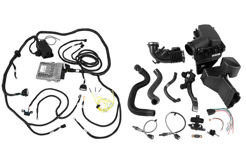 HARNESS ASSEMBLY