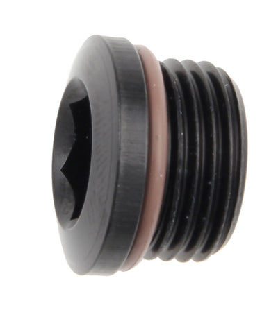 #12 Port Plug w/ Socket Hex - 481312BL