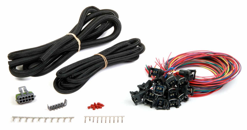 FUEL INJECTION WIRE HARNESS