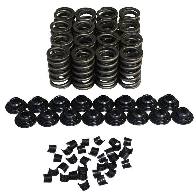 Valve Spring Kit - 98214K11