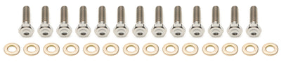 10in Beadlock Bolt Kit Titanium
