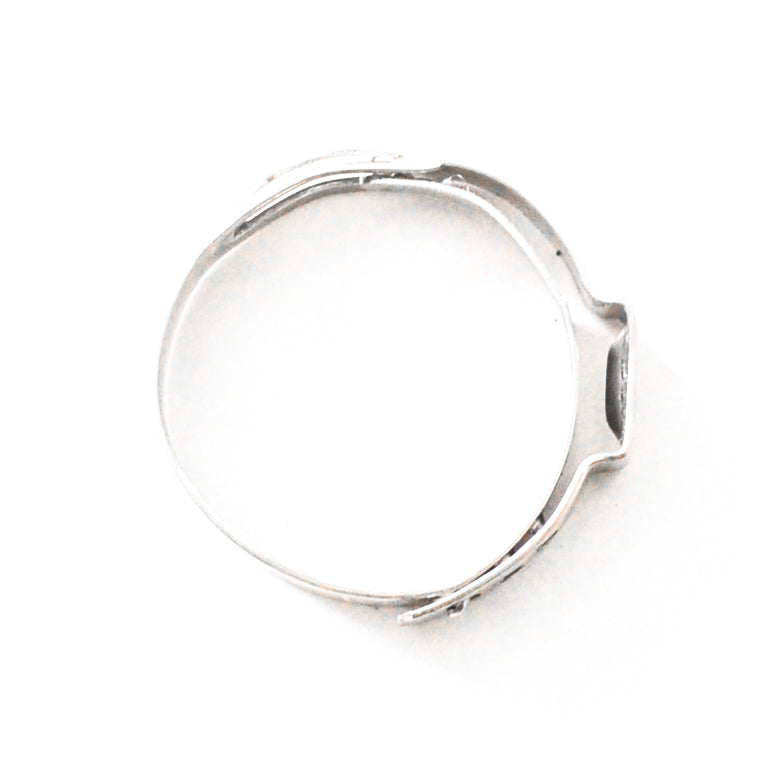 Stainless Safety Clamps -12 - PHM2191211