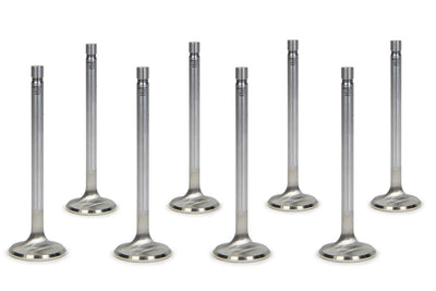 RACE SERIES STAINLESS STEEL