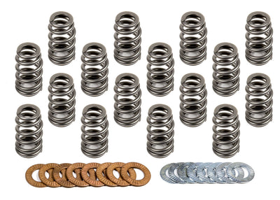 VALVE SPRING SET