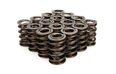 VALVE SPRING SET