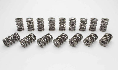 VALVE SPRING SET