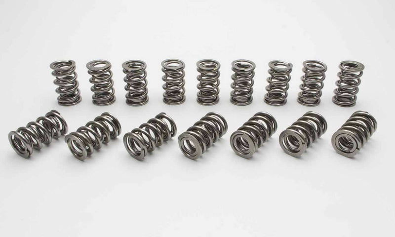VALVE SPRING SET
