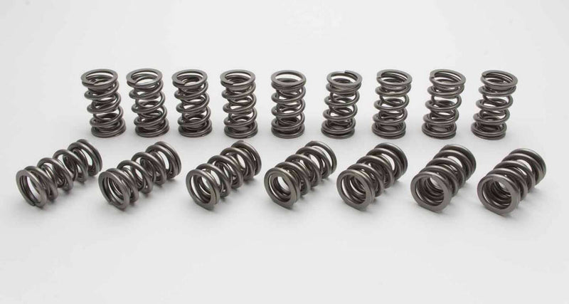 VALVE SPRINGS