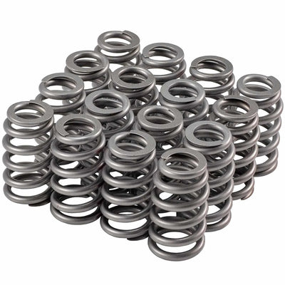 VALVE SPRING SET