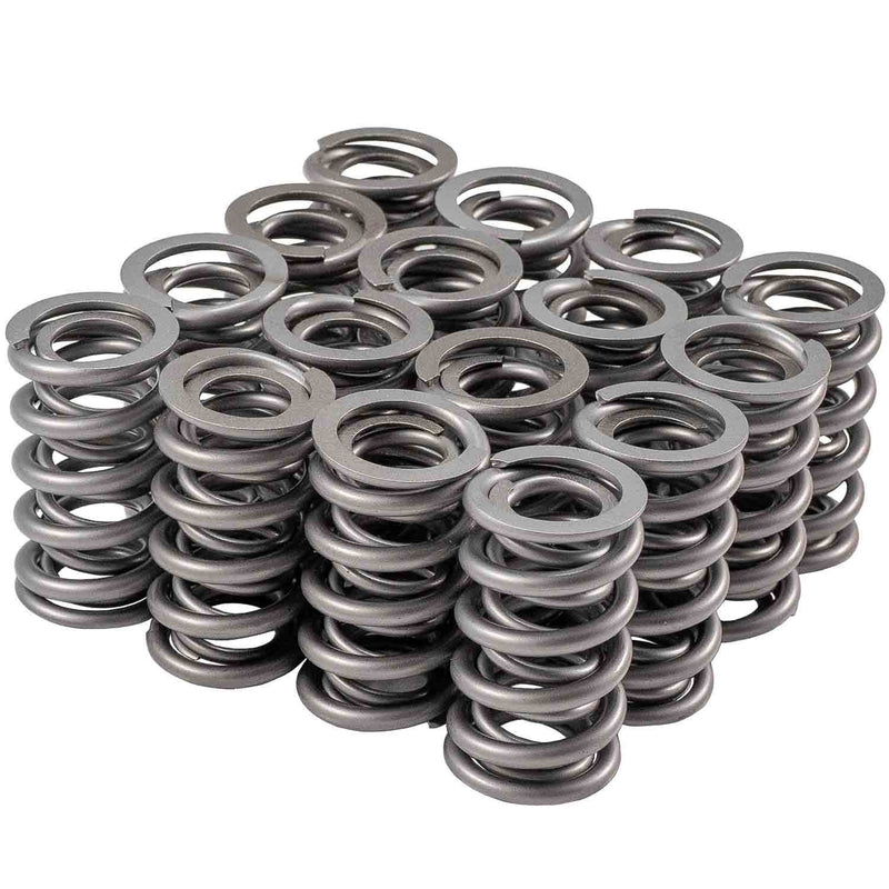VALVE SPRING SET