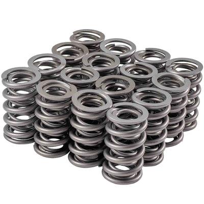 VALVE SPRING SET