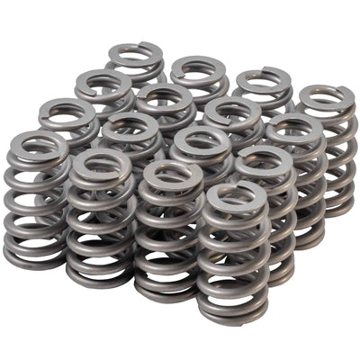 VALVE SPRING SET