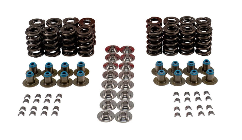 VALVE SPRING KIT
