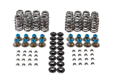 Valve Spring Kit - VSK461219