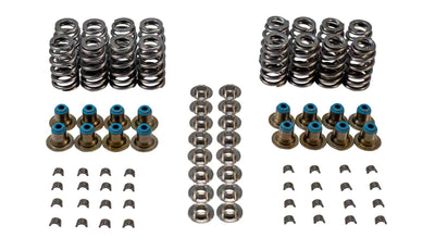 VALVE SPRING KIT