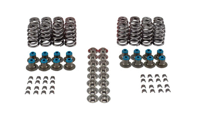 Valve Spring Kit - VSK46652T