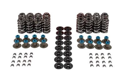 VALVE SPRING KIT